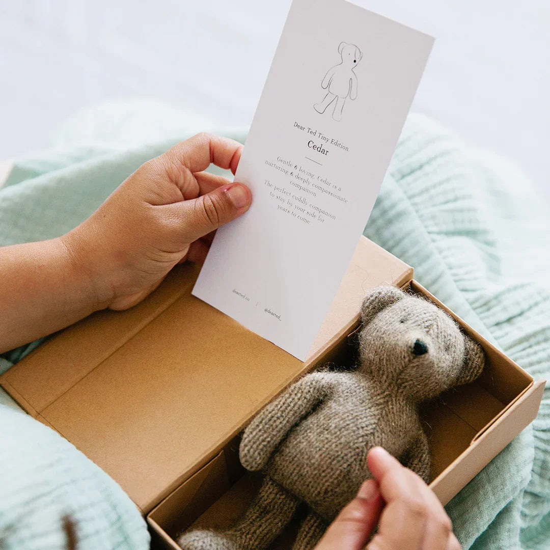 Dear Ted Tiny Edition Cedar